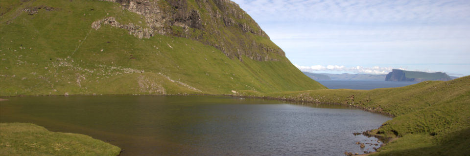 Hvannhagi, Suðuroy